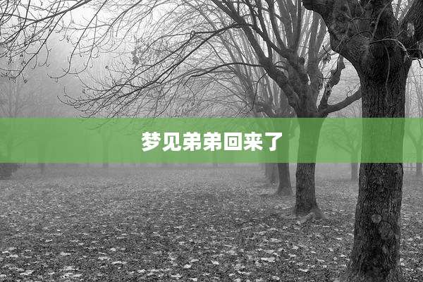 梦见弟弟回来了