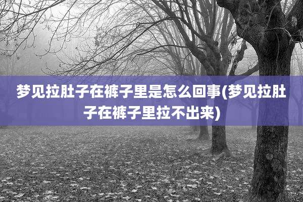 梦见拉肚子在裤子里是怎么回事(梦见拉肚子在裤子里拉不出来)