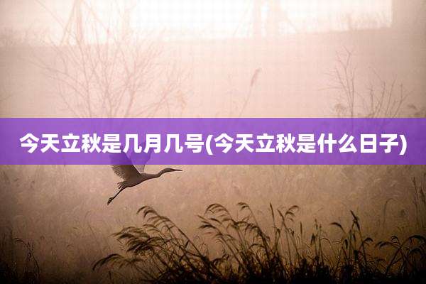 今天立秋是几月几号(今天立秋是什么日子)