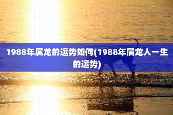 1988年属龙的运势如何(1988年属龙人一生的运势)