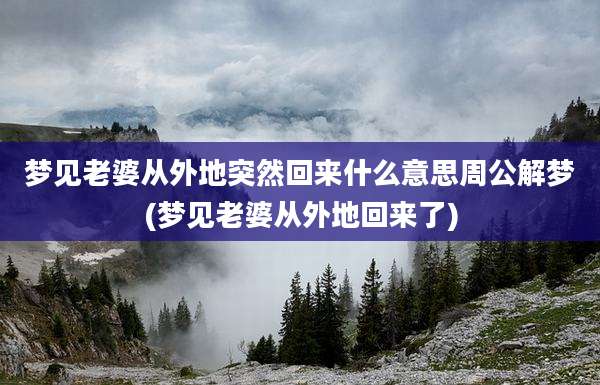 梦见老婆从外地突然回来什么意思周公解梦(梦见老婆从外地回来了)