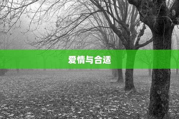 爱情与合适