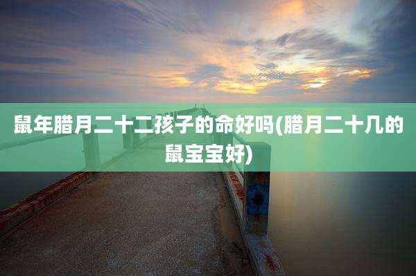 鼠年腊月二十二孩子的命好吗(腊月二十几的鼠宝宝好)