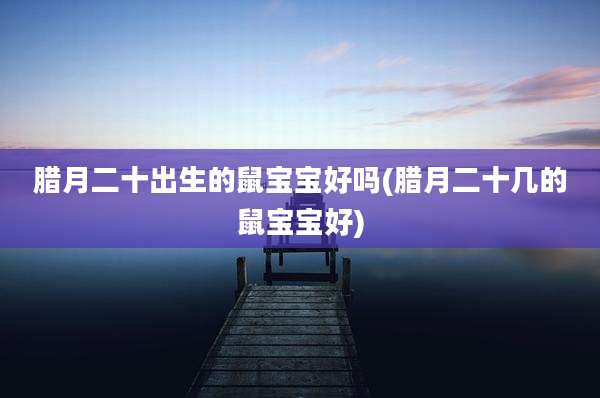 腊月二十出生的鼠宝宝好吗(腊月二十几的鼠宝宝好)