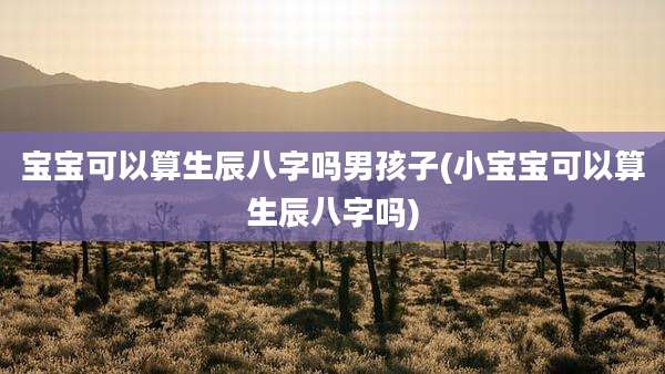 宝宝可以算生辰八字吗男孩子(小宝宝可以算生辰八字吗)