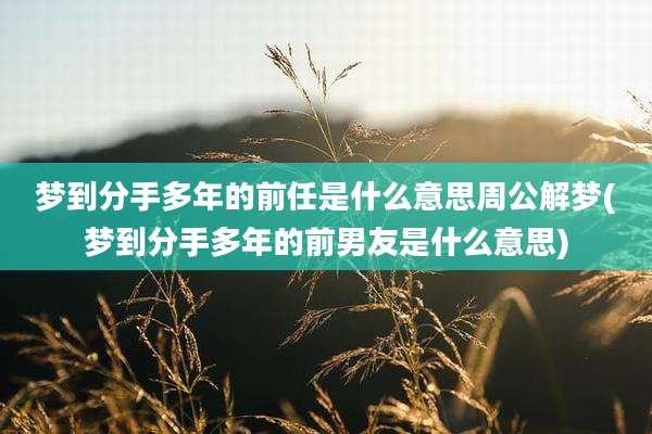 梦到分手多年的前任是什么意思周公解梦(梦到分手多年的前男友是什么意思)