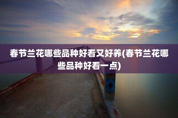 春节兰花哪些品种好看又好养(春节兰花哪些品种好看一点)