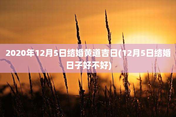 2020年12月5日结婚黄道吉日(12月5日结婚日子好不好)