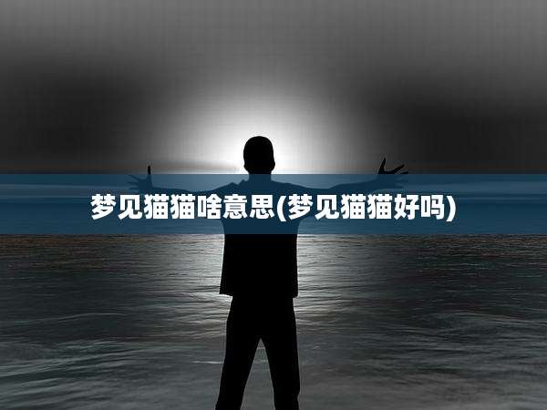 梦见猫猫啥意思(梦见猫猫好吗)