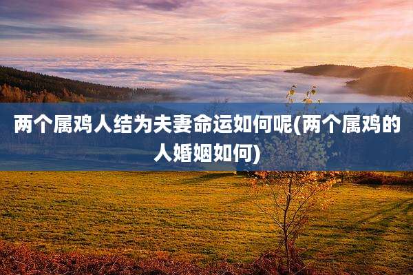 两个属鸡人结为夫妻命运如何呢(两个属鸡的人婚姻如何)