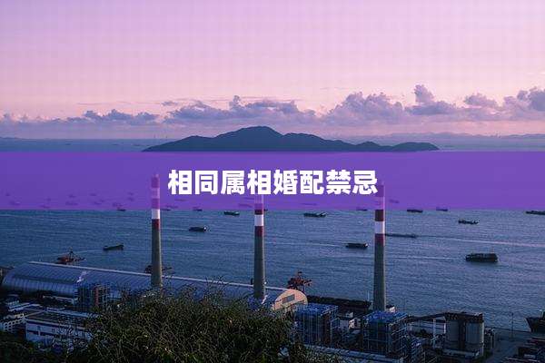相同属相婚配禁忌
