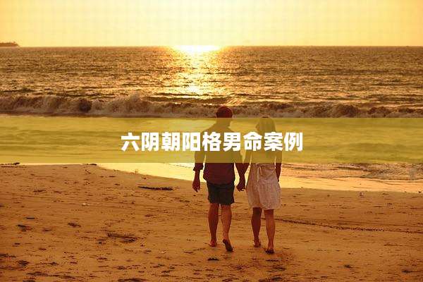 六阴朝阳格男命案例
