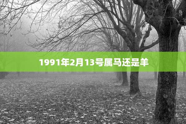 1991年2月13号属马还是羊