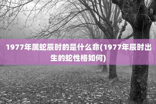 1977年属蛇辰时的是什么命(1977年辰时出生的蛇性格如何)