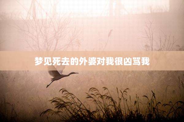 梦见死去的外婆对我很凶骂我