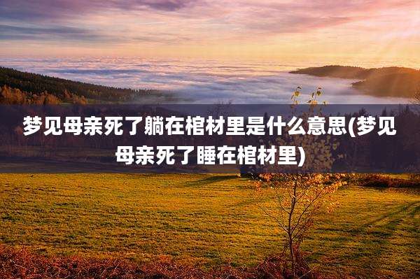 梦见母亲死了躺在棺材里是什么意思(梦见母亲死了睡在棺材里)