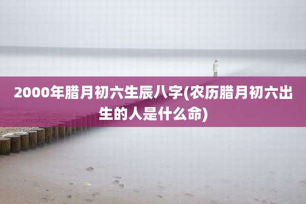 2000年腊月初六生辰八字(农历腊月初六出生的人是什么命)
