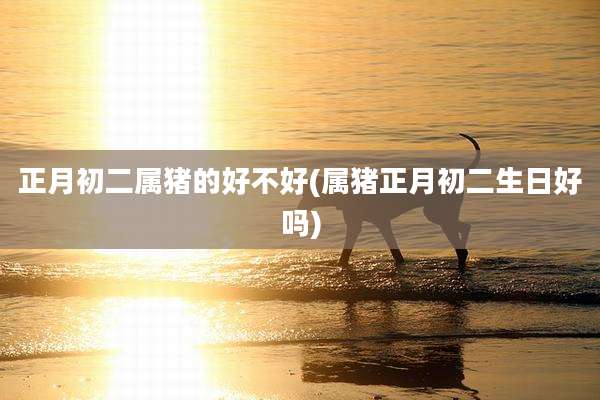 正月初二属猪的好不好(属猪正月初二生日好吗)