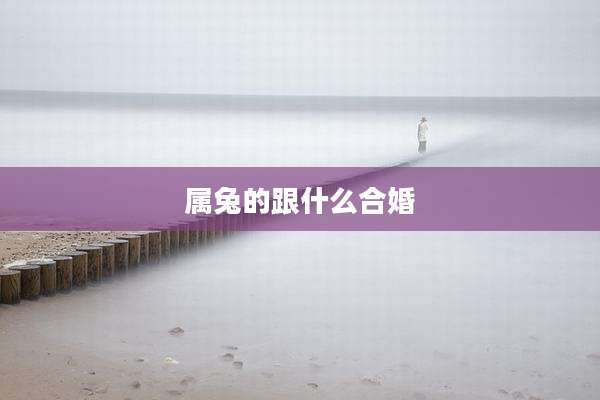 属兔的跟什么合婚