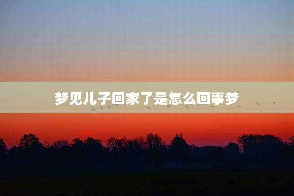梦见儿子回家了是怎么回事梦