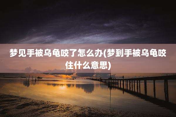 梦见手被乌龟咬了怎么办(梦到手被乌龟咬住什么意思)