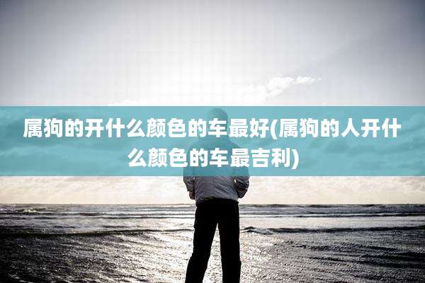 属狗的开什么颜色的车最好(属狗的人开什么颜色的车最吉利)