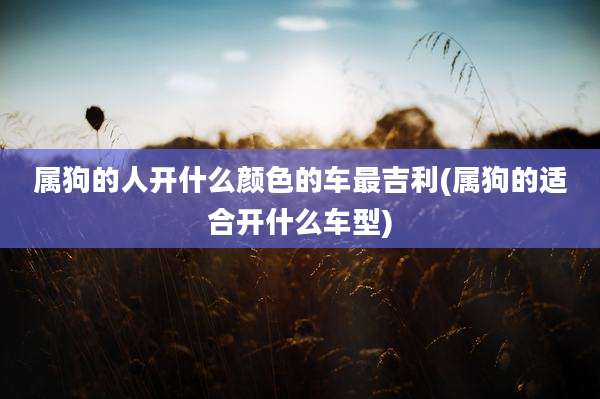 属狗的人开什么颜色的车最吉利(属狗的适合开什么车型)