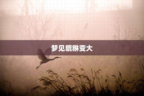 梦见貔貅变大