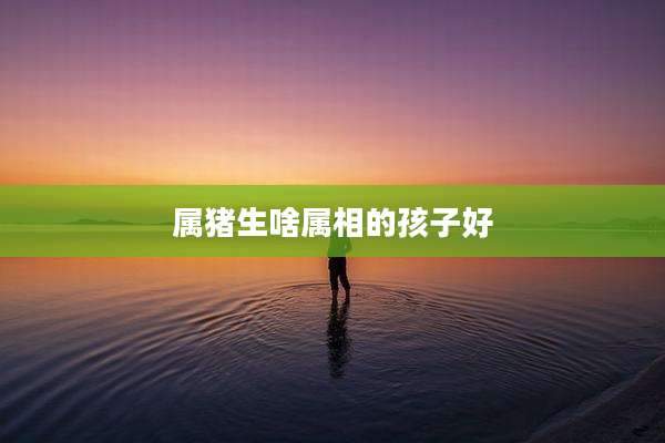 属猪生啥属相的孩子好