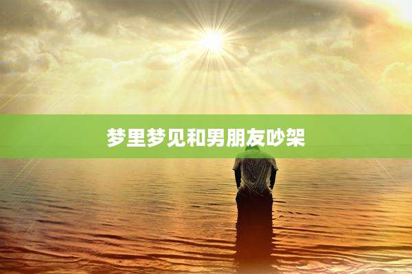 梦里梦见和男朋友吵架