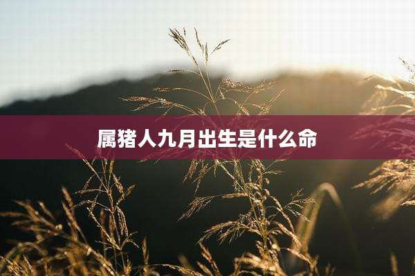 属猪人九月出生是什么命