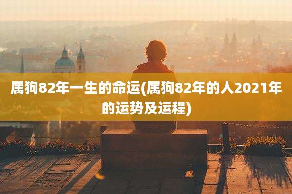 属狗82年一生的命运(属狗82年的人2021年的运势及运程)