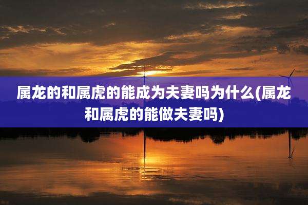 属龙的和属虎的能成为夫妻吗为什么(属龙和属虎的能做夫妻吗)