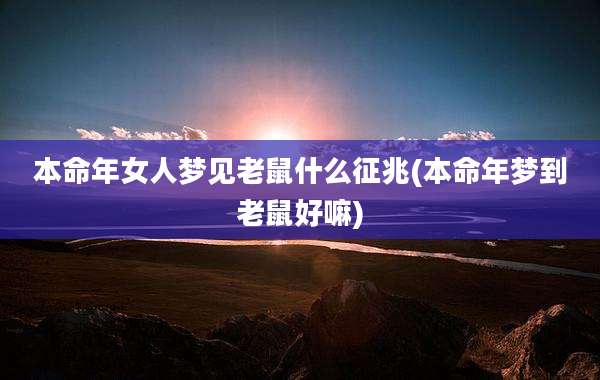 本命年女人梦见老鼠什么征兆(本命年梦到老鼠好嘛)