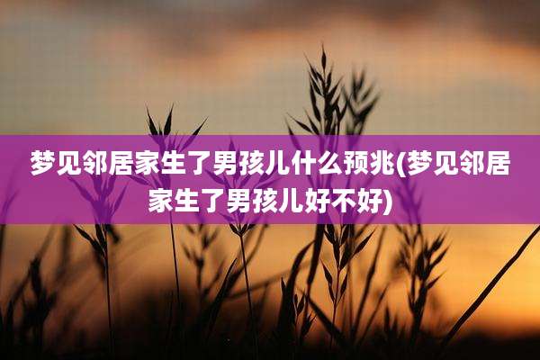 梦见邻居家生了男孩儿什么预兆(梦见邻居家生了男孩儿好不好)