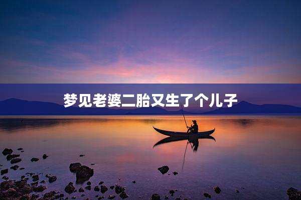 梦见老婆二胎又生了个儿子