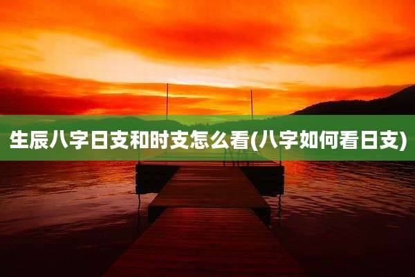 生辰八字日支和时支怎么看(八字如何看日支)