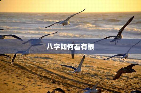 八字如何看有根