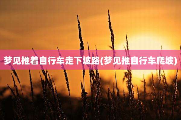 梦见推着自行车走下坡路(梦见推自行车爬坡)