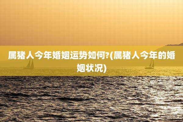 属猪人今年婚姻运势如何?(属猪人今年的婚姻状况)
