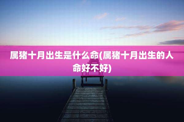 属猪十月出生是什么命(属猪十月出生的人命好不好)