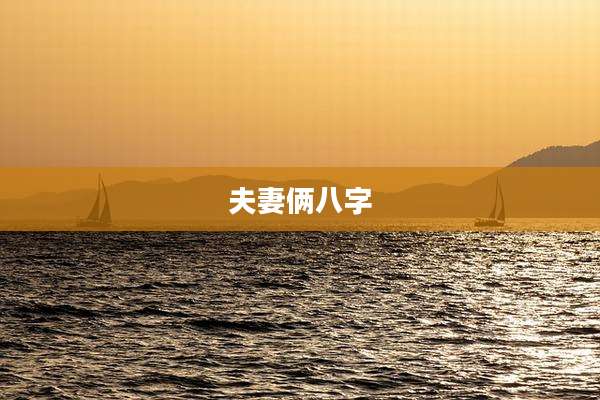 夫妻俩八字