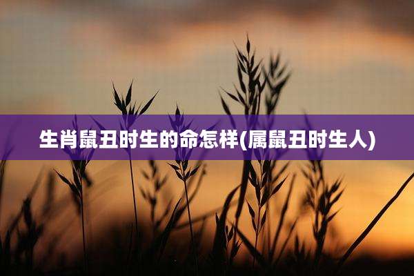 生肖鼠丑时生的命怎样(属鼠丑时生人)