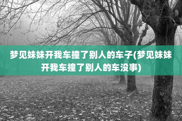 梦见妹妹开我车撞了别人的车子(梦见妹妹开我车撞了别人的车没事)