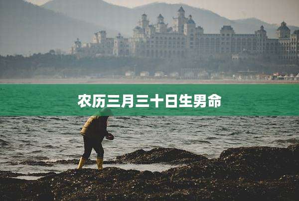 农历三月三十日生男命