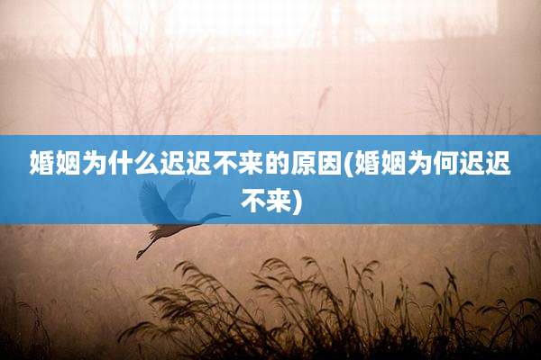 婚姻为什么迟迟不来的原因(婚姻为何迟迟不来)