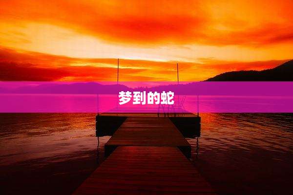 梦到的蛇
