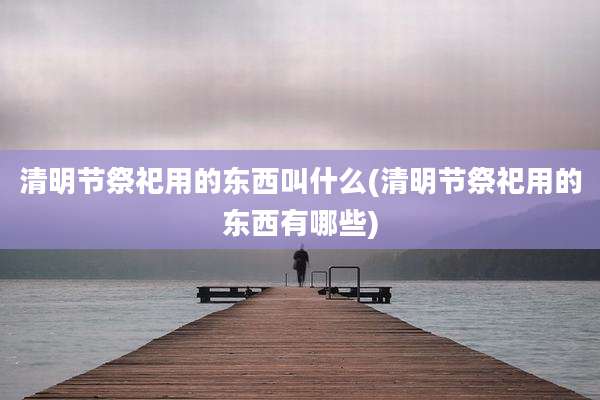 清明节祭祀用的东西叫什么(清明节祭祀用的东西有哪些)