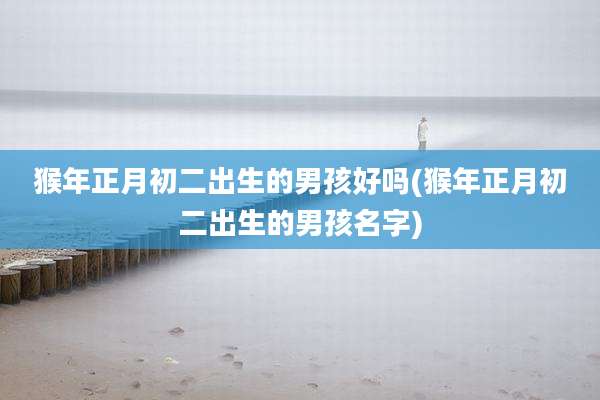 猴年正月初二出生的男孩好吗(猴年正月初二出生的男孩名字)