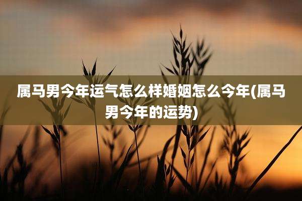 属马男今年运气怎么样婚姻怎么今年(属马男今年的运势)